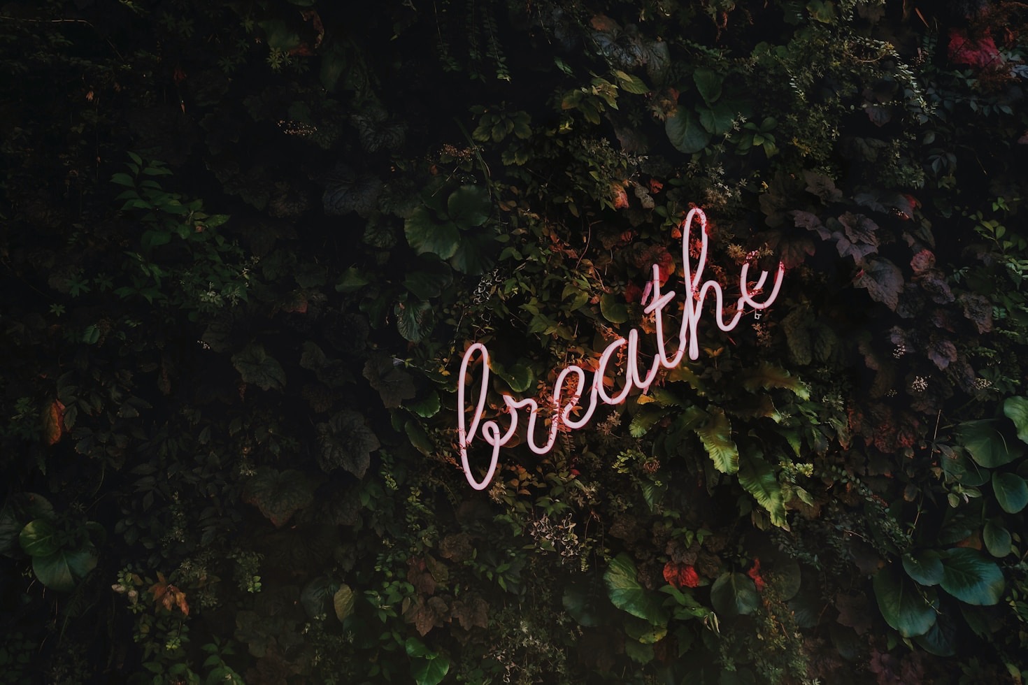 5 Ways Spiritual Reflections Can Transform Your Day