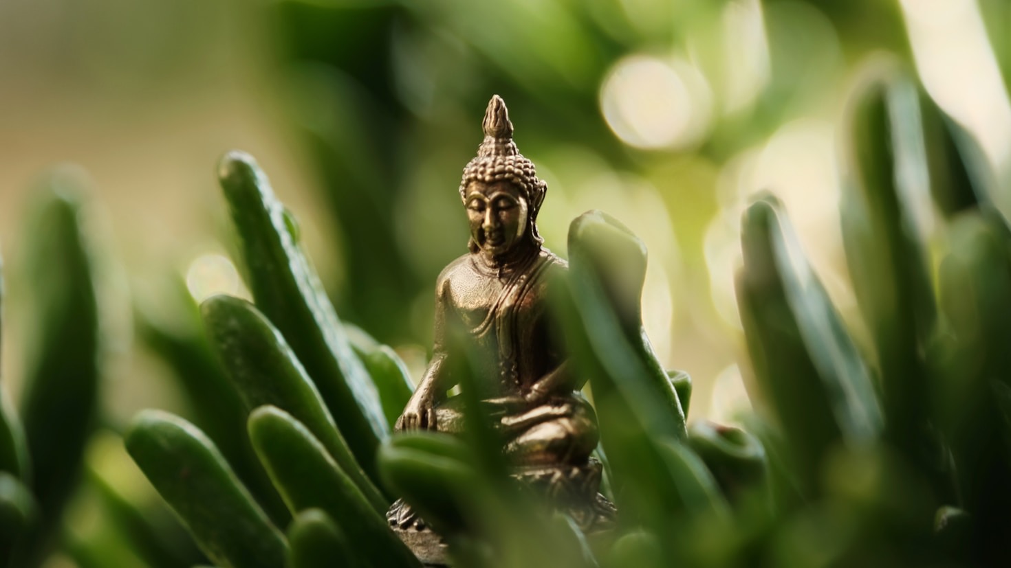 Finding Daily Inspiration in Everyday Moments